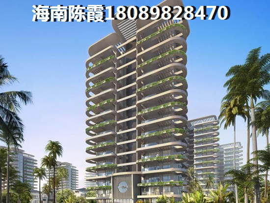 海南全域XG政策 海南全域XG政策