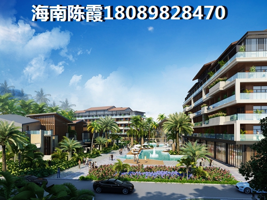 海地春天2022什么价格? 海地春天2022什么价格?