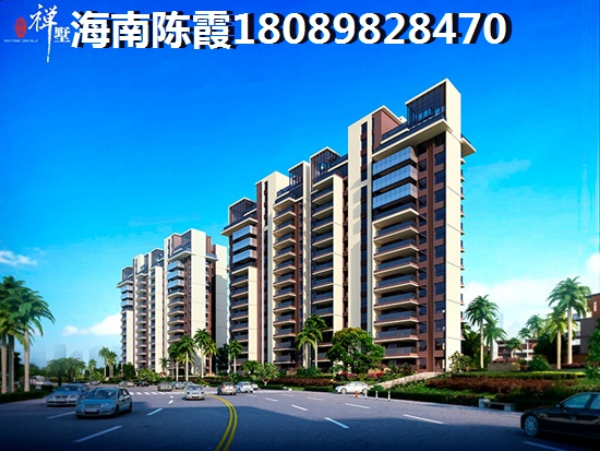 海口度假兼touzi那里好 海口度假兼touzi那里好