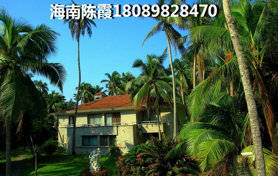 海南选择什么地方的房子好，辽宁人去海南买房过冬哪里合适？