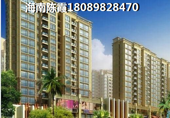 >2022海口买房攻略 >2022海口买房解读