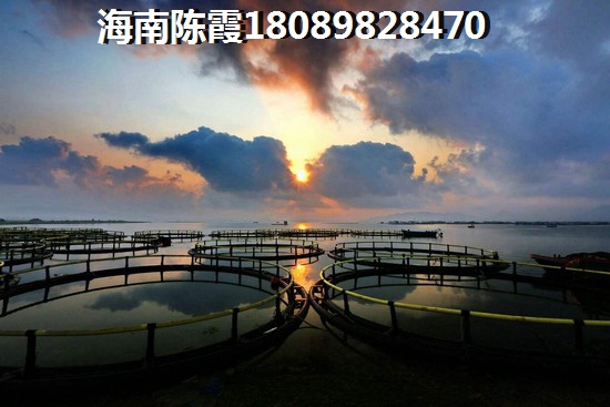 海口绿园仙民物流新城怎么样分析，海南海口买房哪里好？