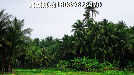 三亚房产前景如何？航天云海台未来几年房价涨或跌？
