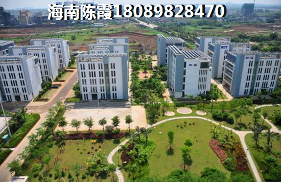 阳光东海岸Pk绿地荣域周边配套对比分析！文昌小户型买房子合算吗？