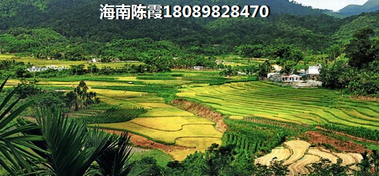 仁恒·海棠湾跟鼎尚时代广场养老分析！海南三亚气候好不好？