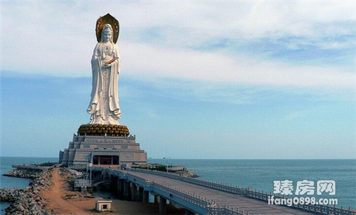 望奎县高性价比项目排行榜！